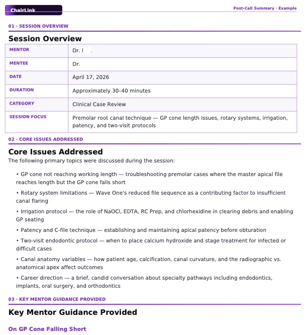 Chairlink’s explicitly labelled example post-call summary with a session overview, key issues and mentor guidance
